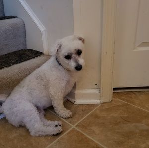 Meet your Posher, Daniela